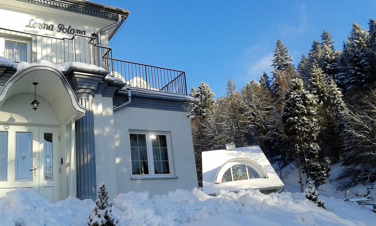 Lesna Polana- Blisko Centrum, Mini Spa, Cicha, Spokojna Okolica, Parking Gratis Krynica Zdroj Εξωτερικό φωτογραφία
